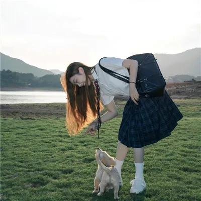茉莉花